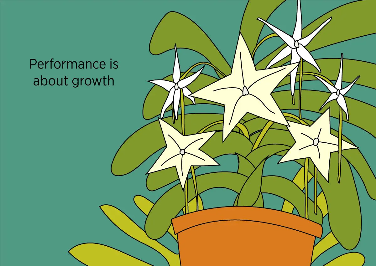 The ultimate guide to performance and feedback
