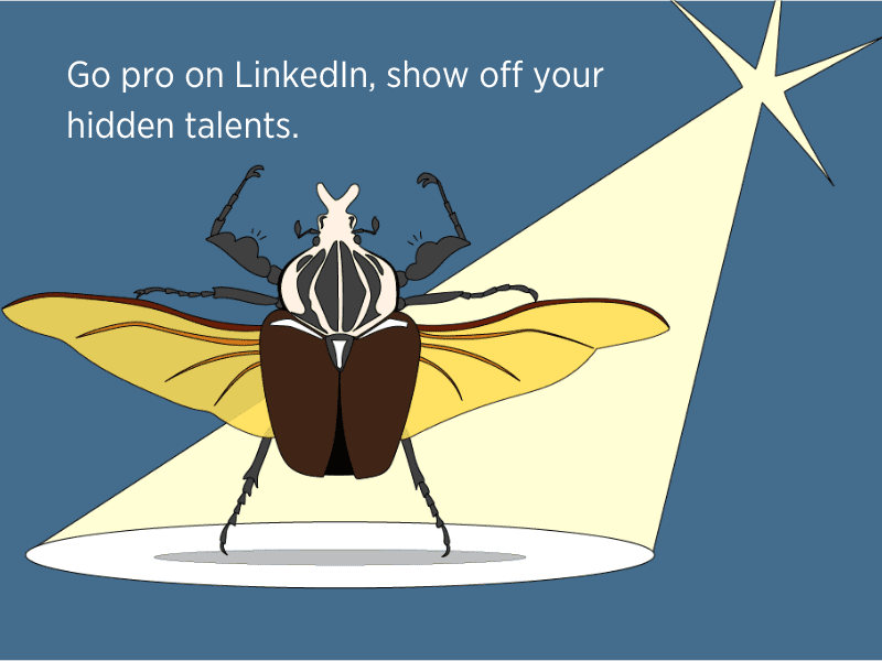 Mastering LinkedIn: The Ultimate Guide to Dos and Don’ts for Optimizing Your Profile and Content