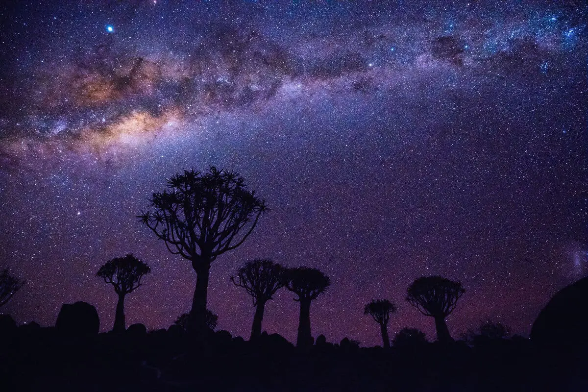 Devex: How the US foreign aid freeze threatens African conservation work