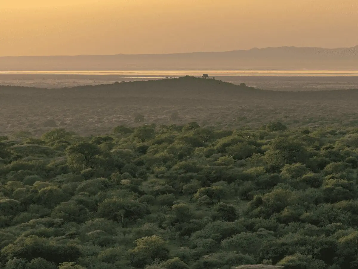 Carbon Tanzania