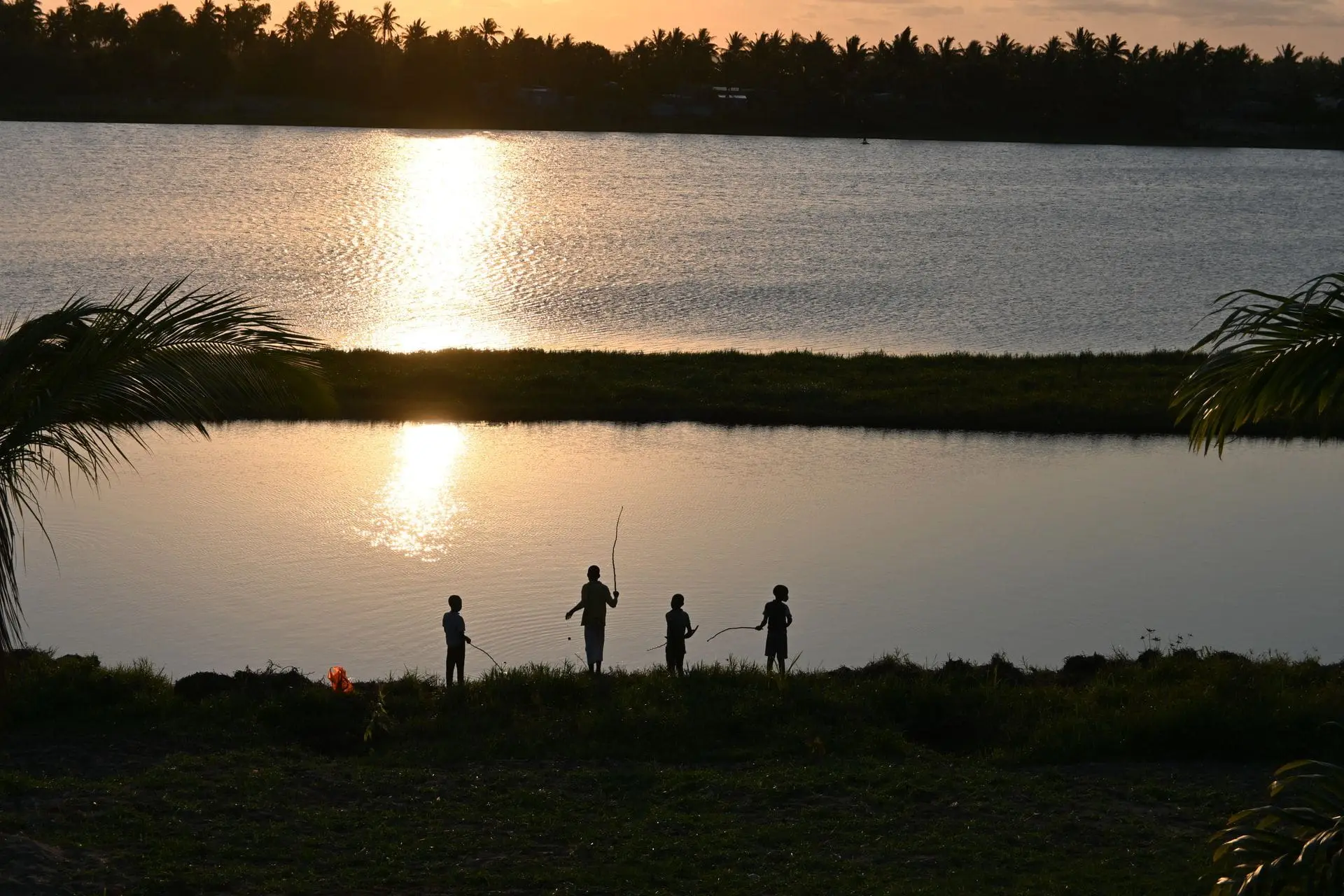 Devex: The nonprofit power struggle at the heart of conservation