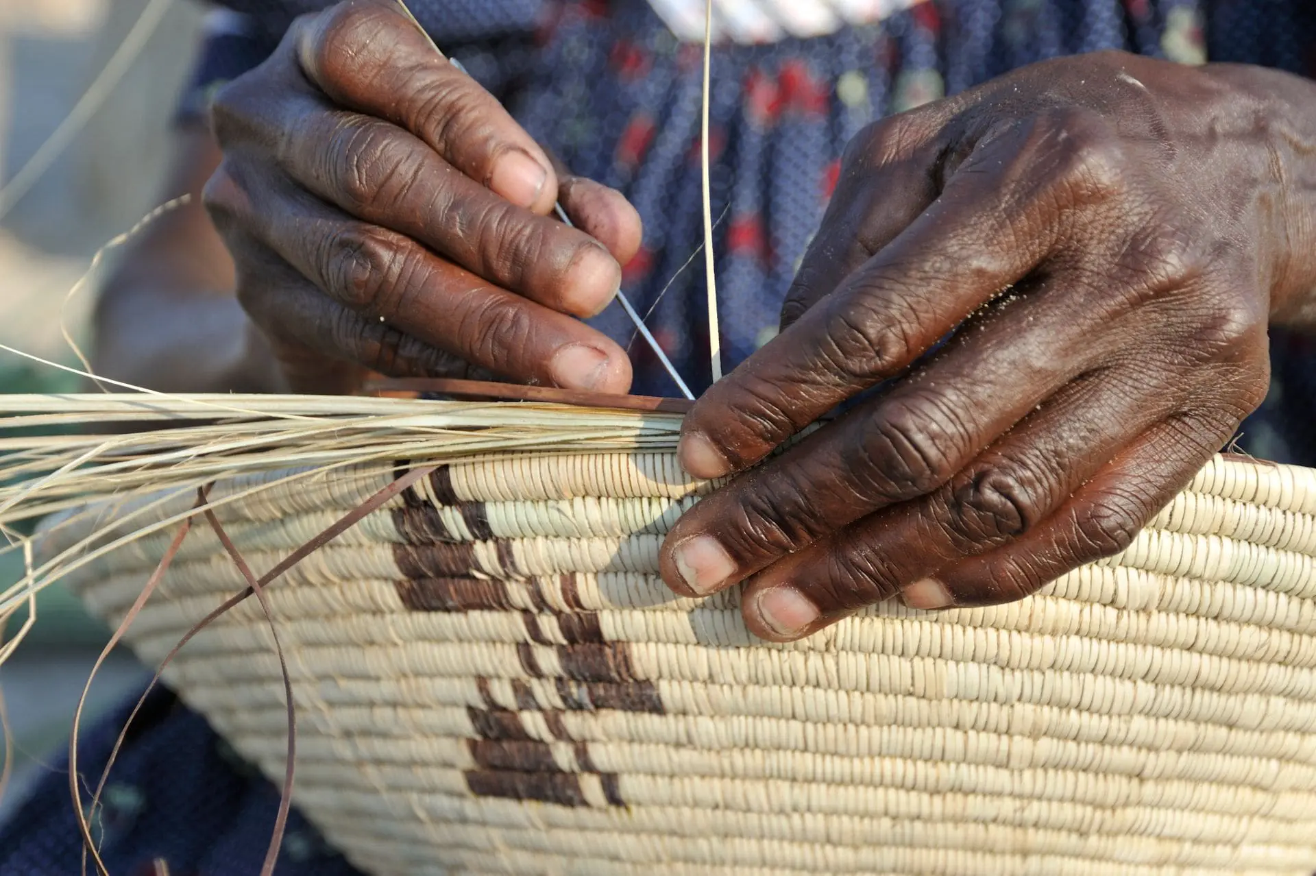 Mongabay: Across the world, conservation projects reel after US funding cuts
