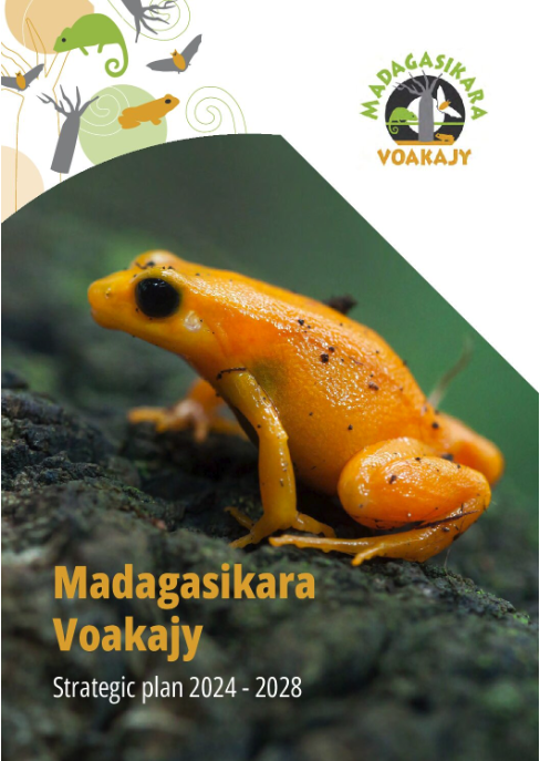 MV Strategic Plan 2024 – 2028