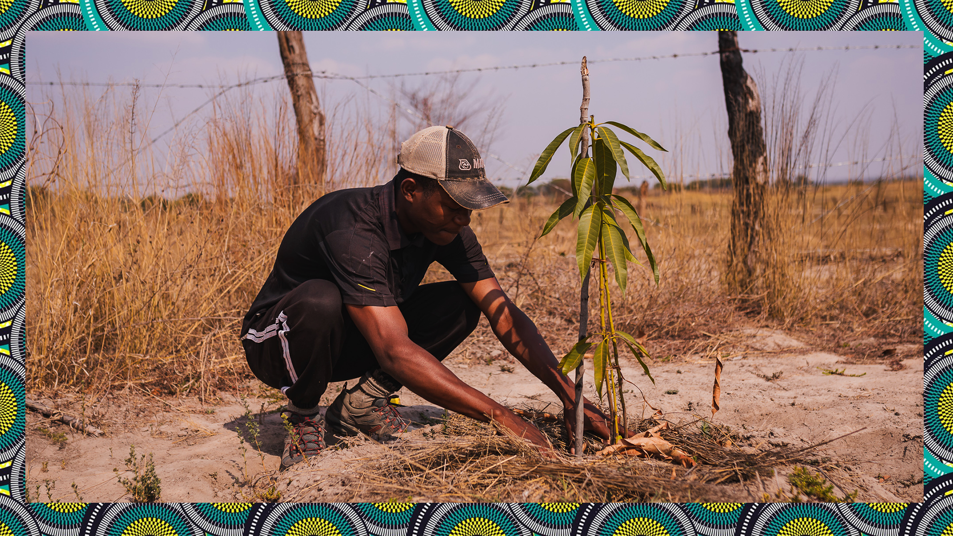 ACADIR: Planting peace in the soil
