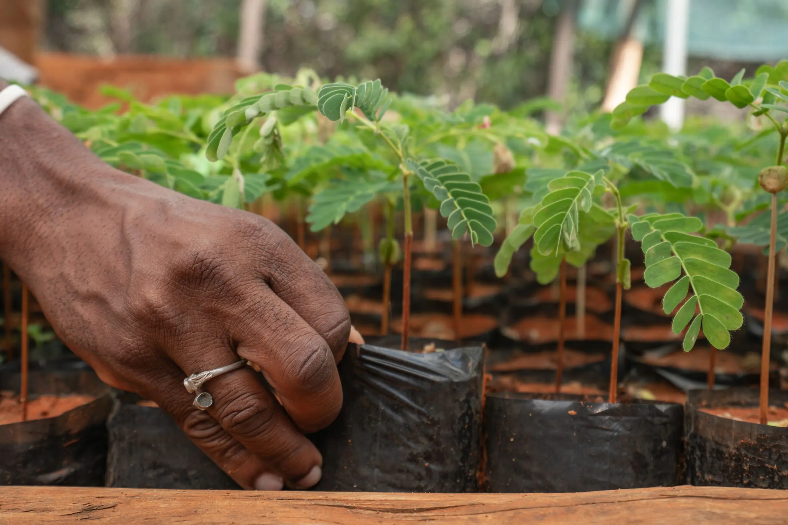 The Standard: It’s time for Kenya to rethink the business of conservation