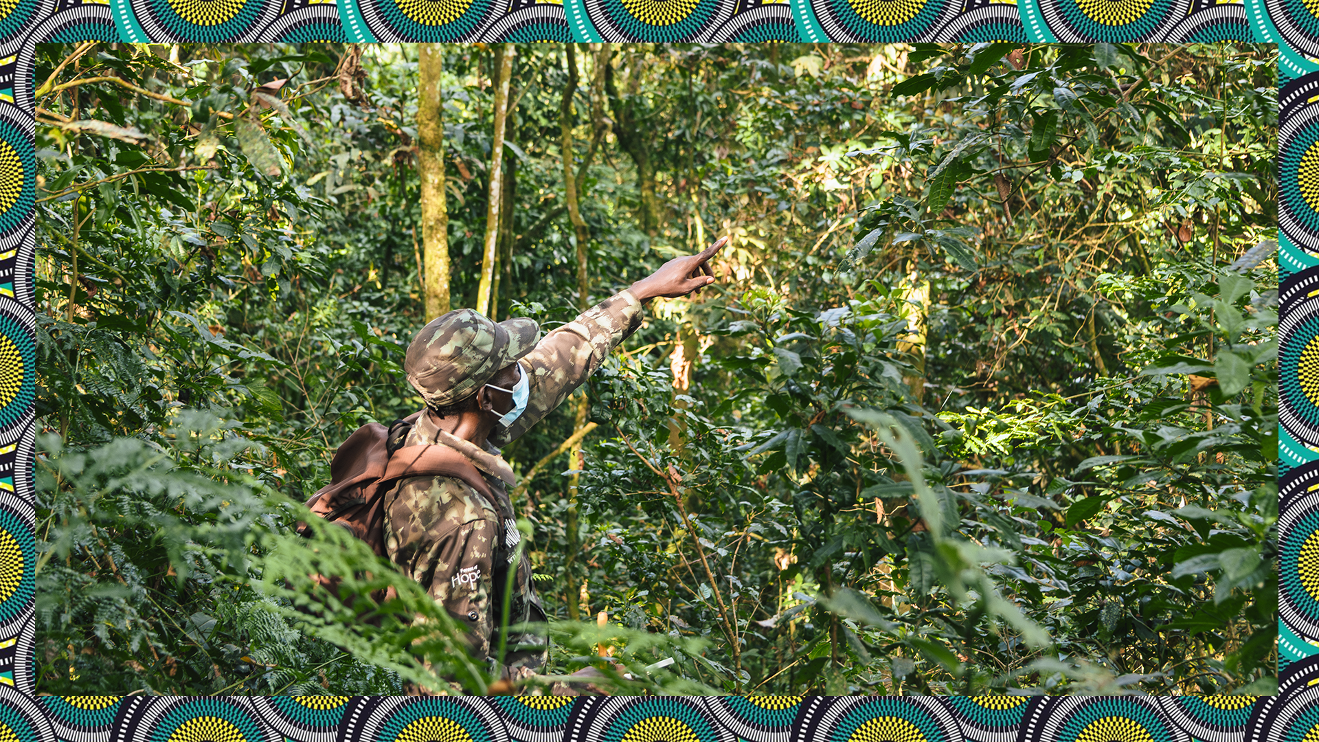 A global restoration wave is rising – and Africa is at its heart