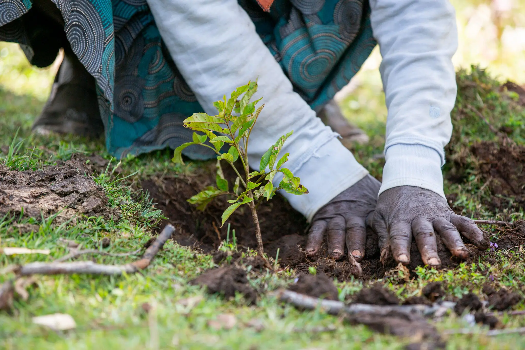 The soil is speaking, we must stop talking and start to listen
