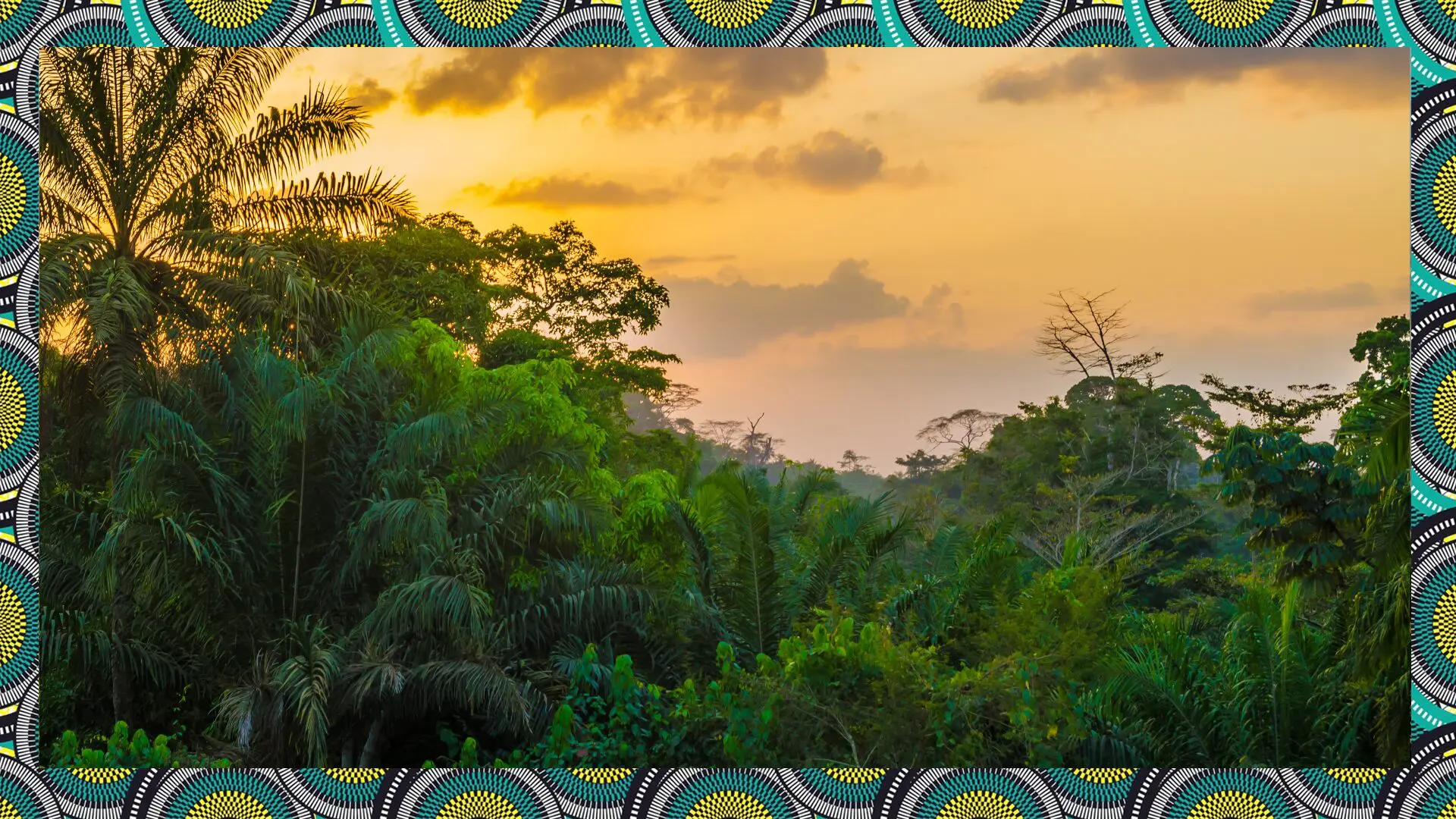 Where law meets the land: making rights real in Liberia’s forests
