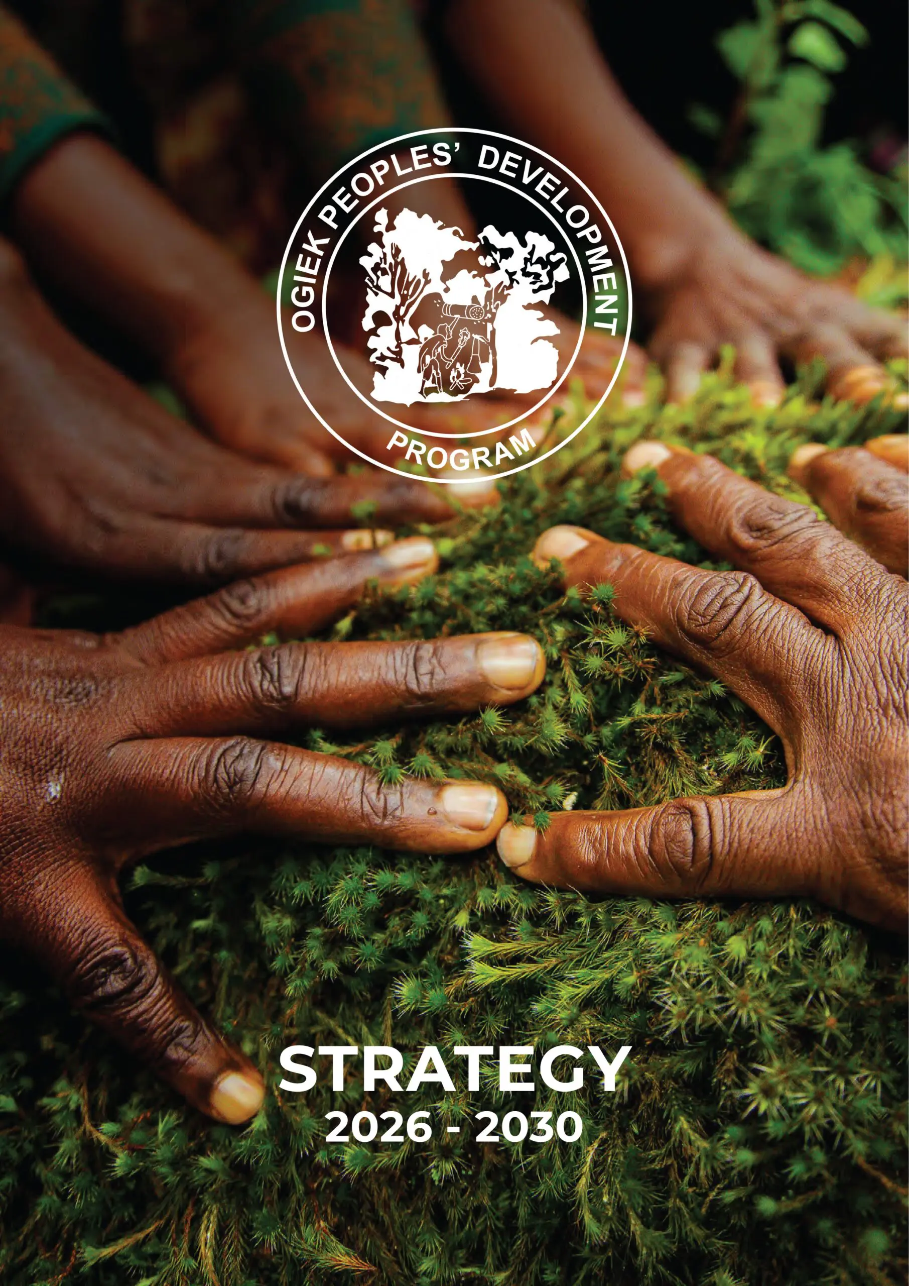 OPDP STRATEGIC PLAN 2026 – 2030