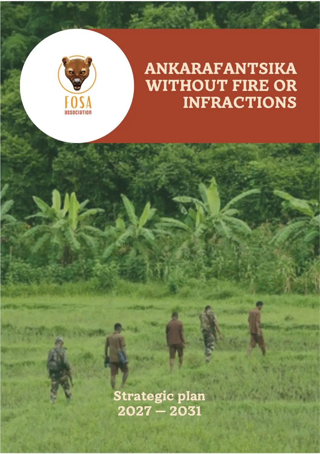 Association Fosa Strategic Plan