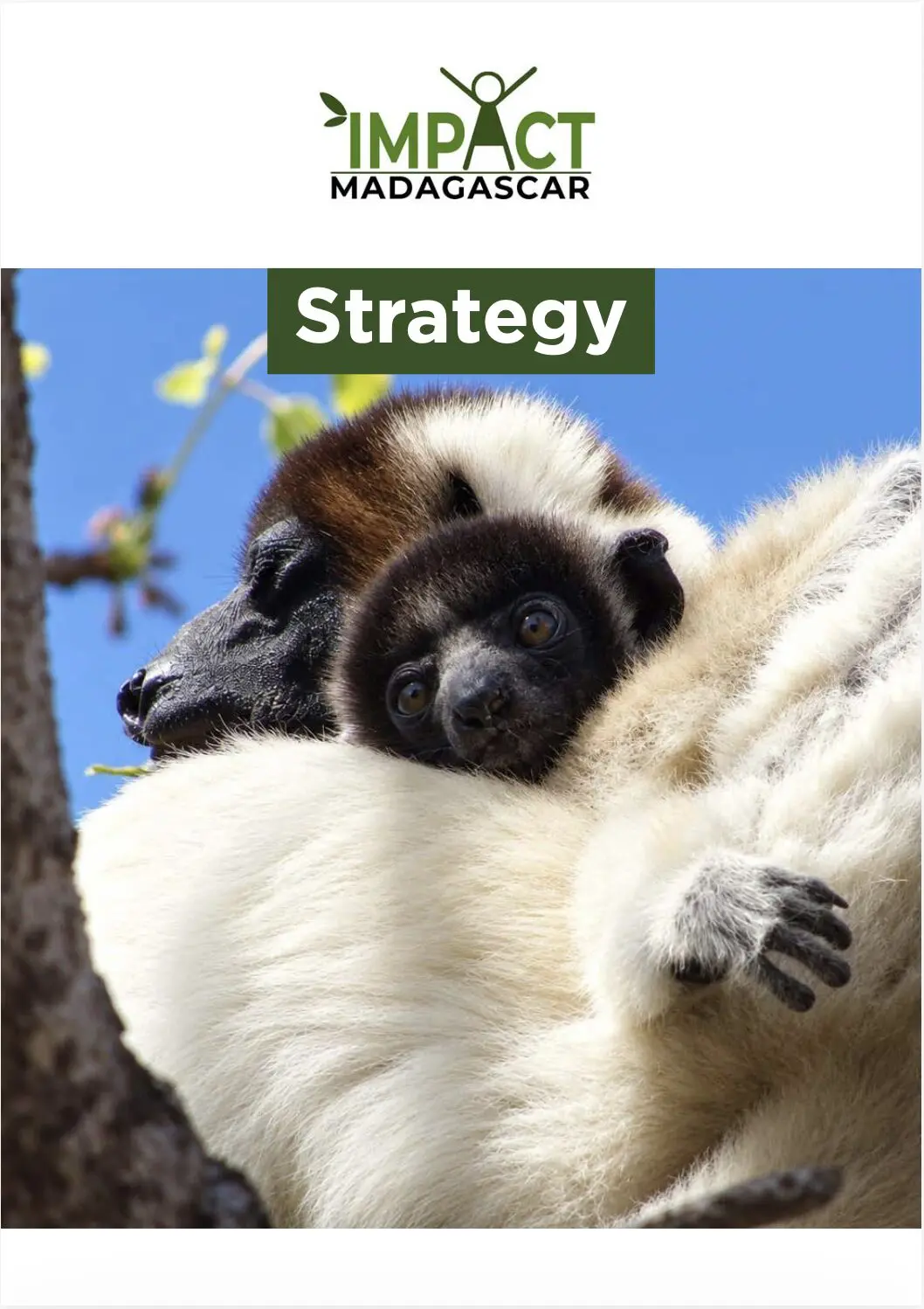 IMPACT Madagascar Strategy 2027-2031