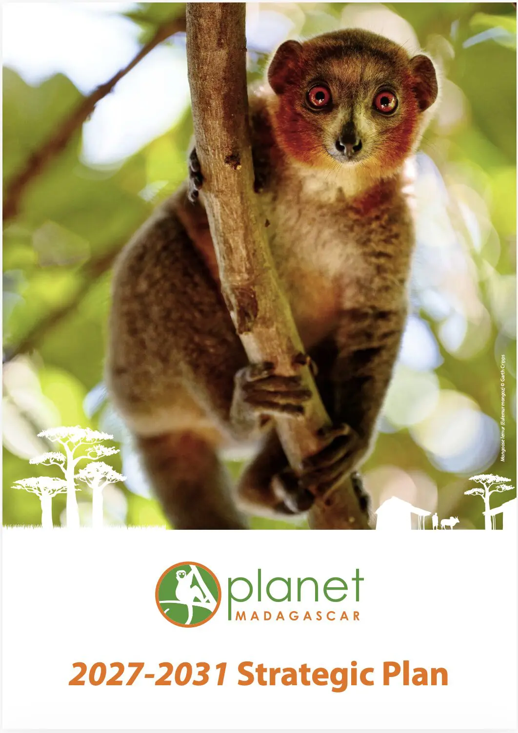 Planet Madagascar Strategic Plan 2027-2031