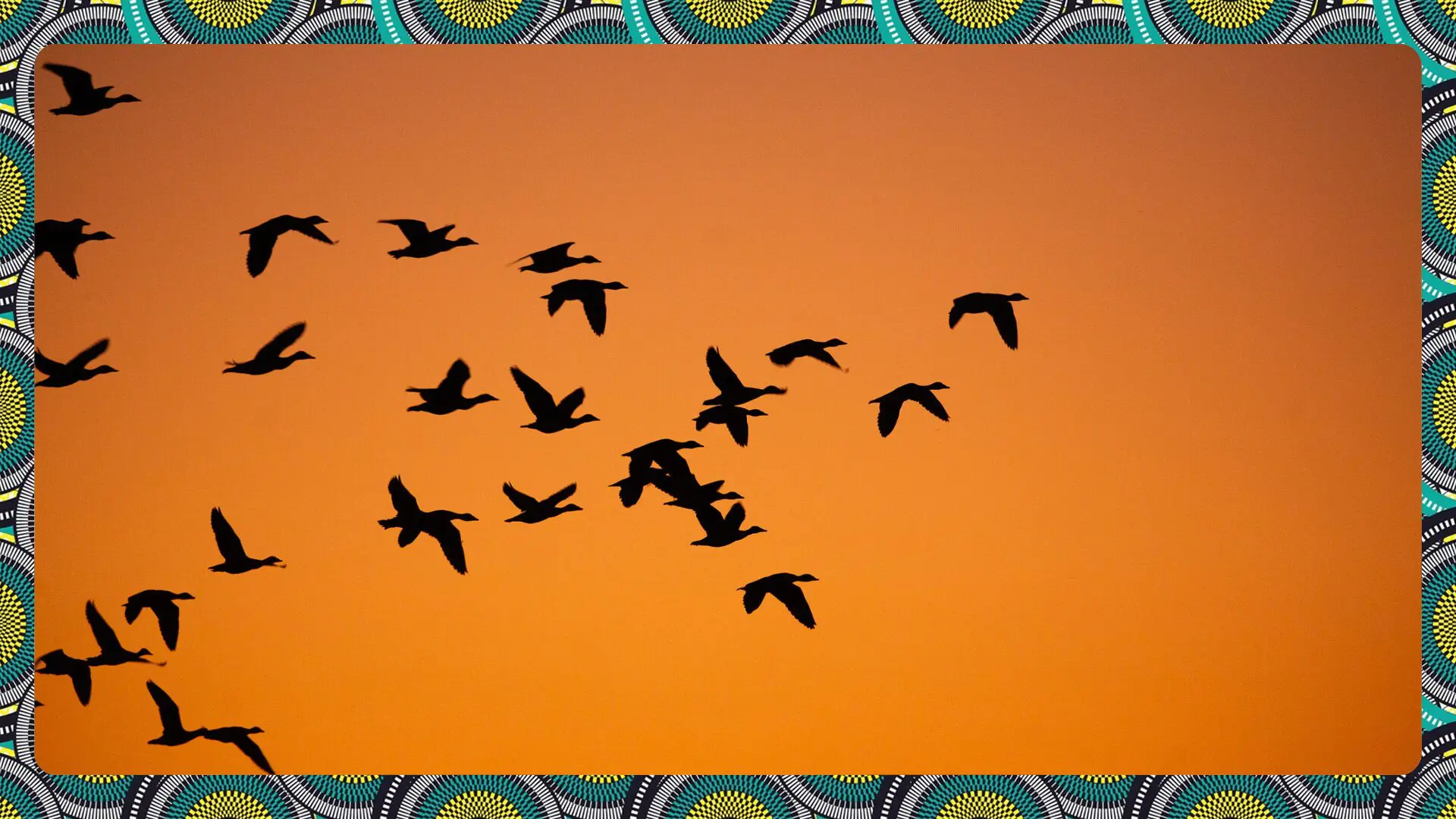 Not a finished story: 45 years of community conservation in Namibia