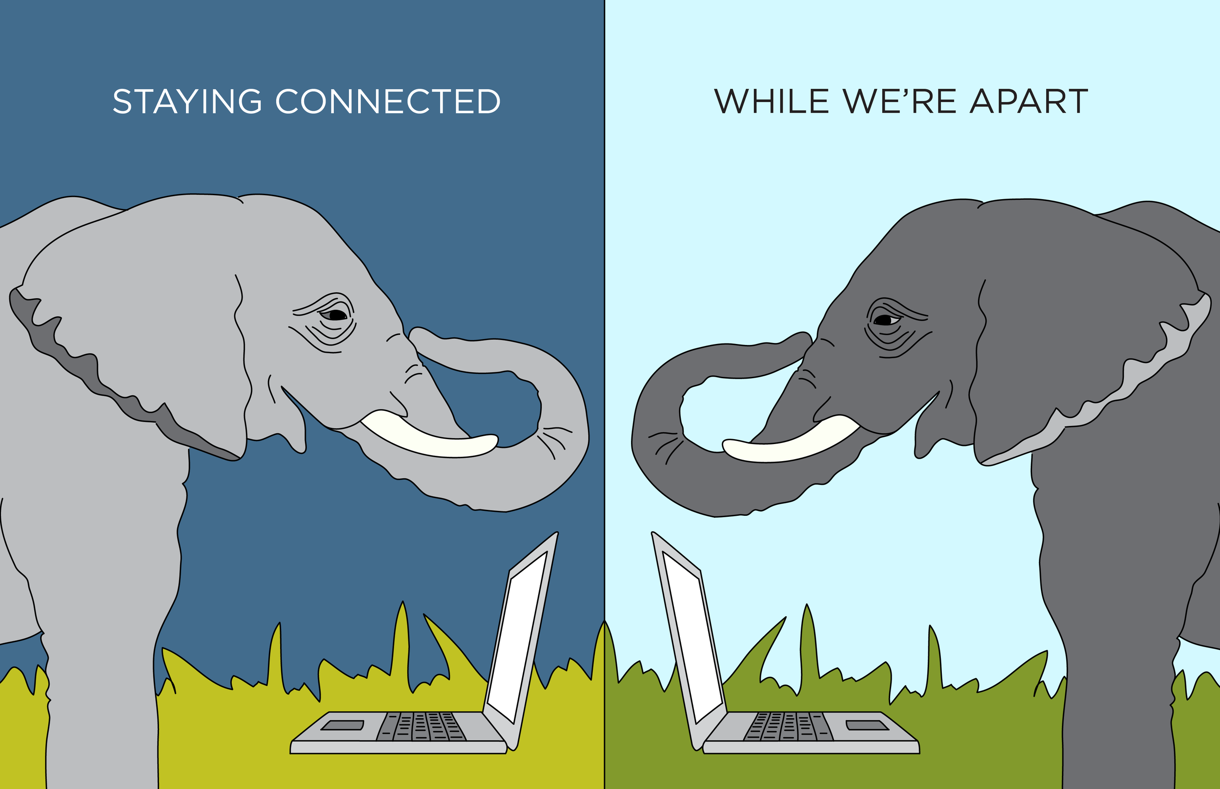Lessons from Maliasili’s First Ever Virtual Team (Non)-Retreat (It Worked!)