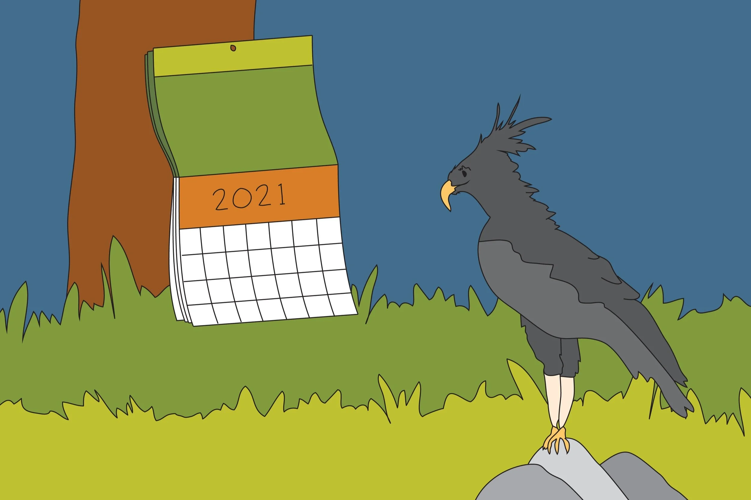 Conservation funding during the time of COVID: Tips on what you should be thinking about now